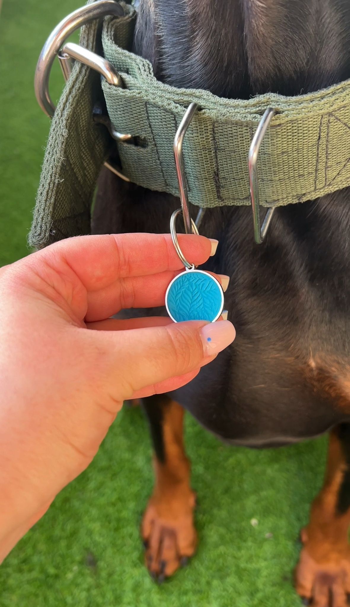 Identificación NFC Mascotas