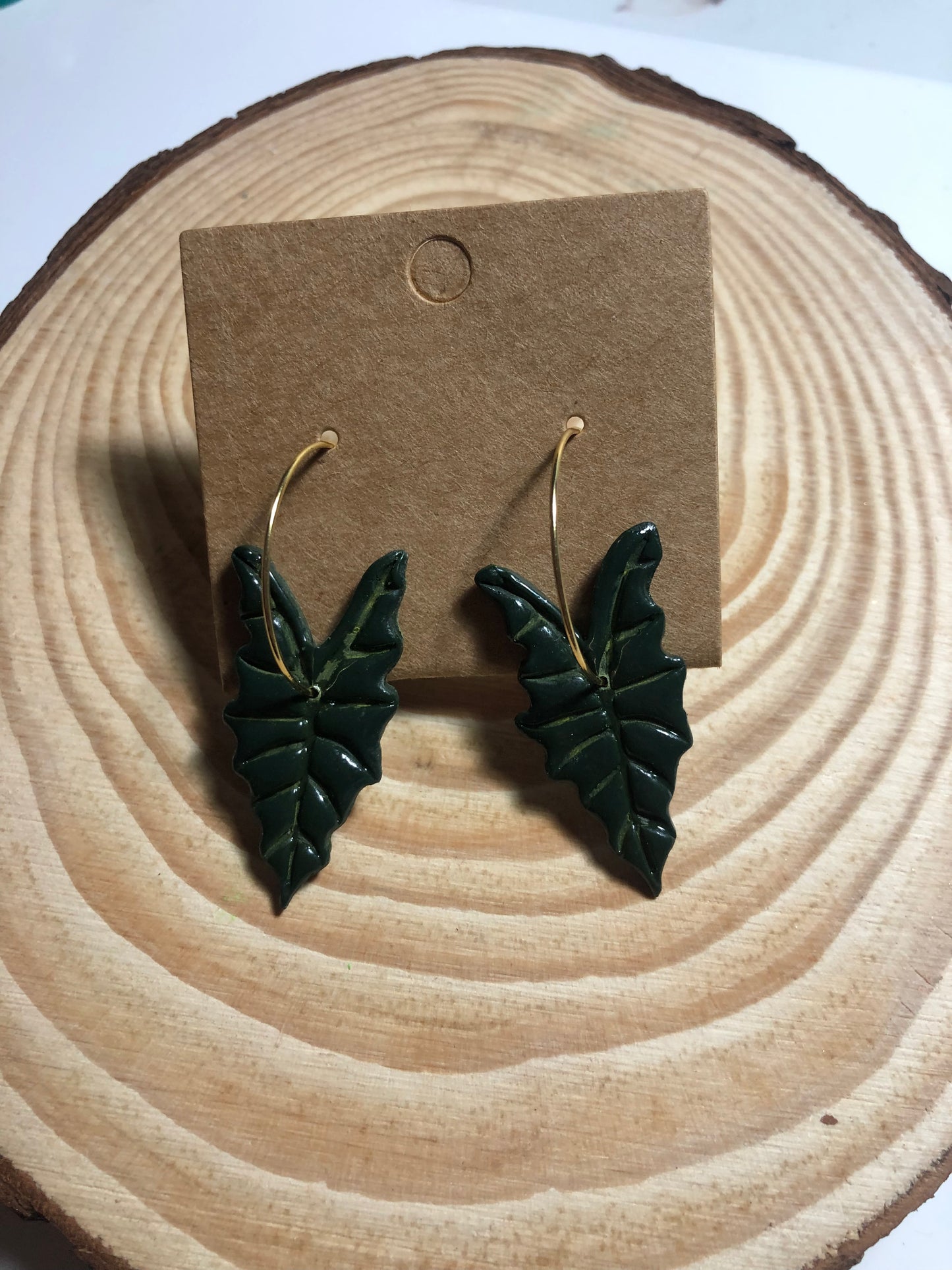 Hoja Alocasia