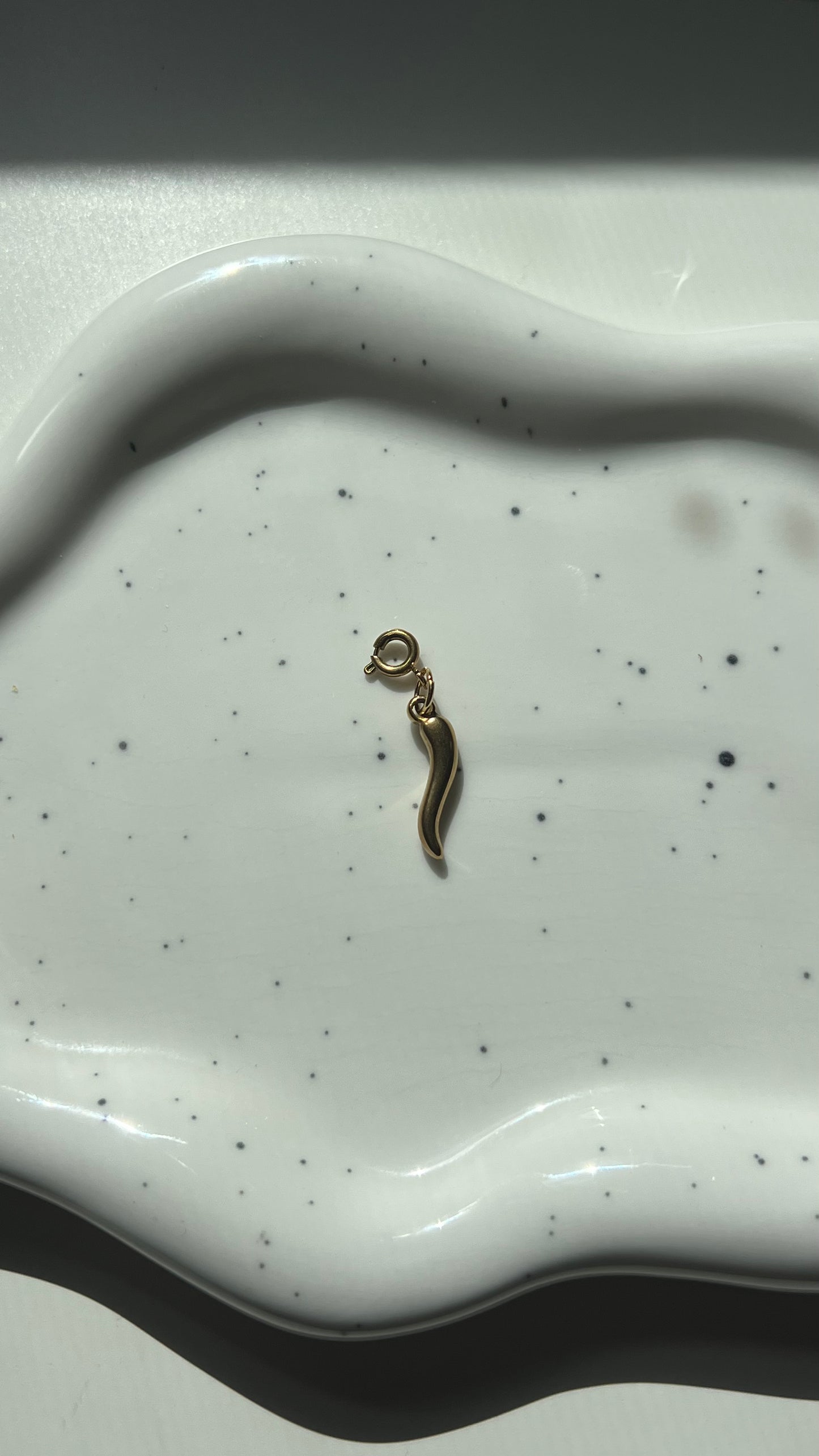 Flip Flop Charm Acero