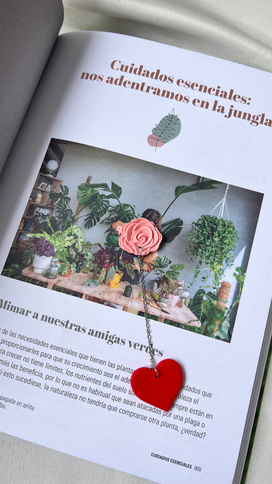 Marcapáginas San Valentin