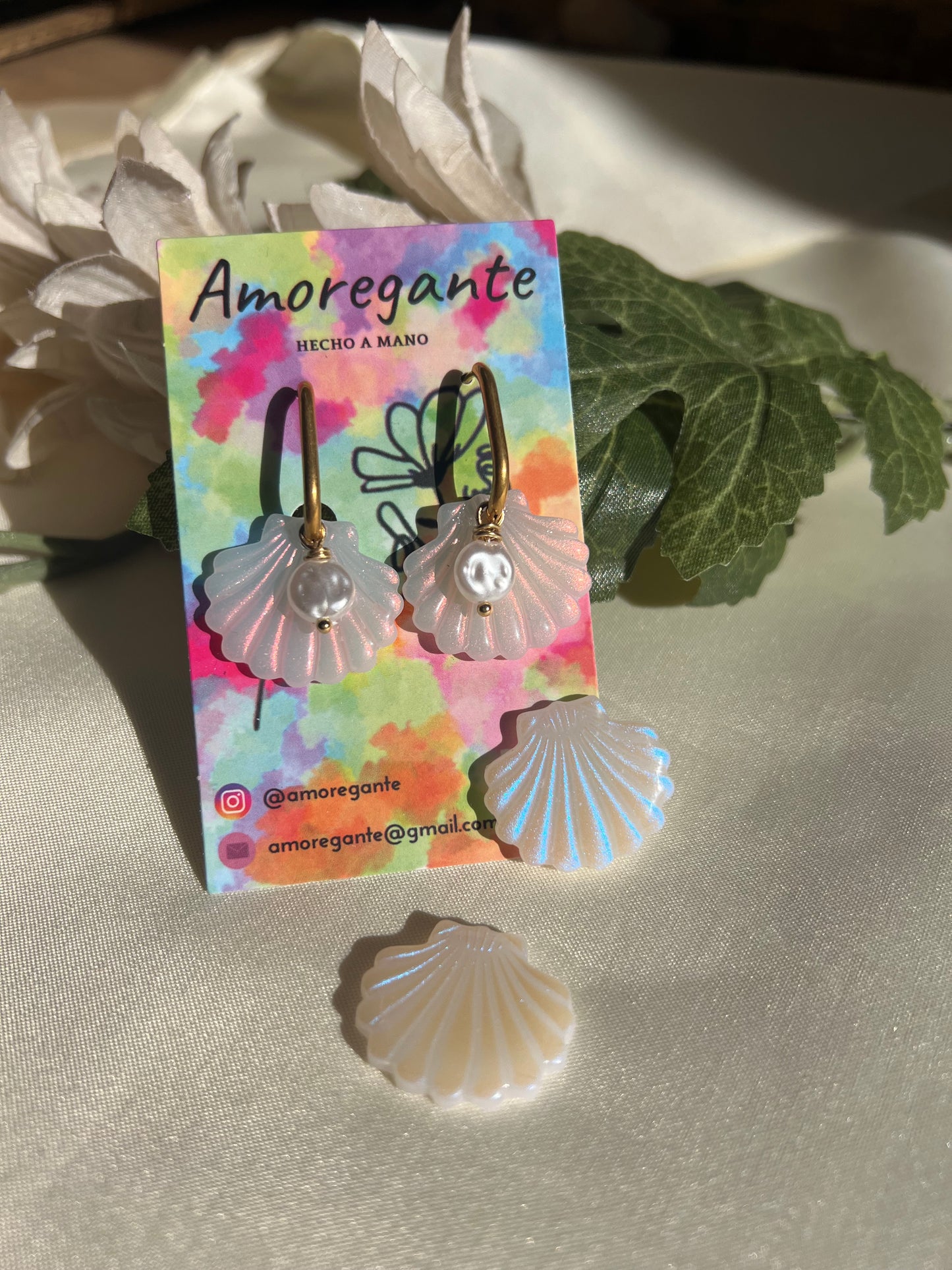 Conchas Tornasoladas