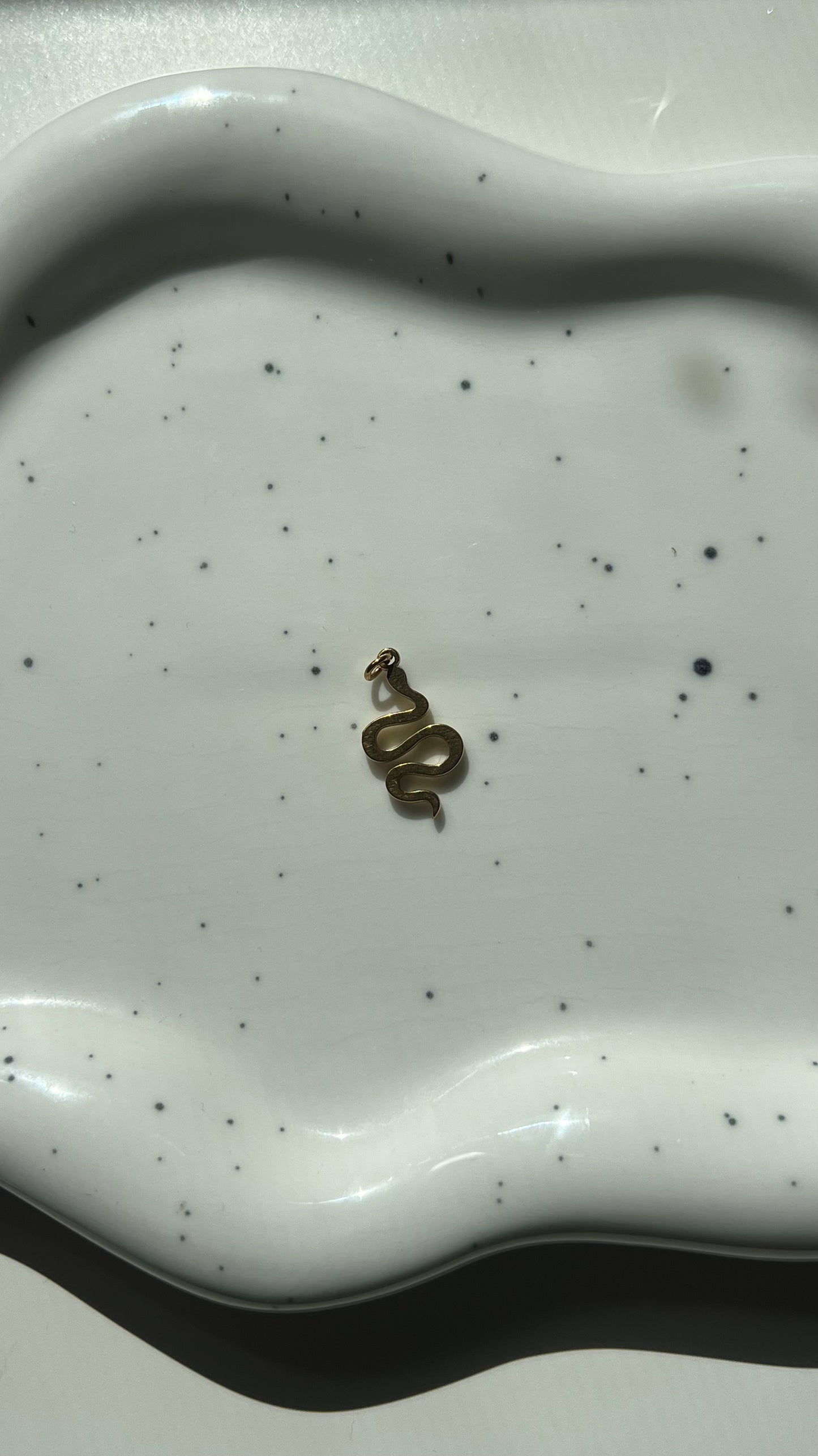 Flip Flop Charm Acero