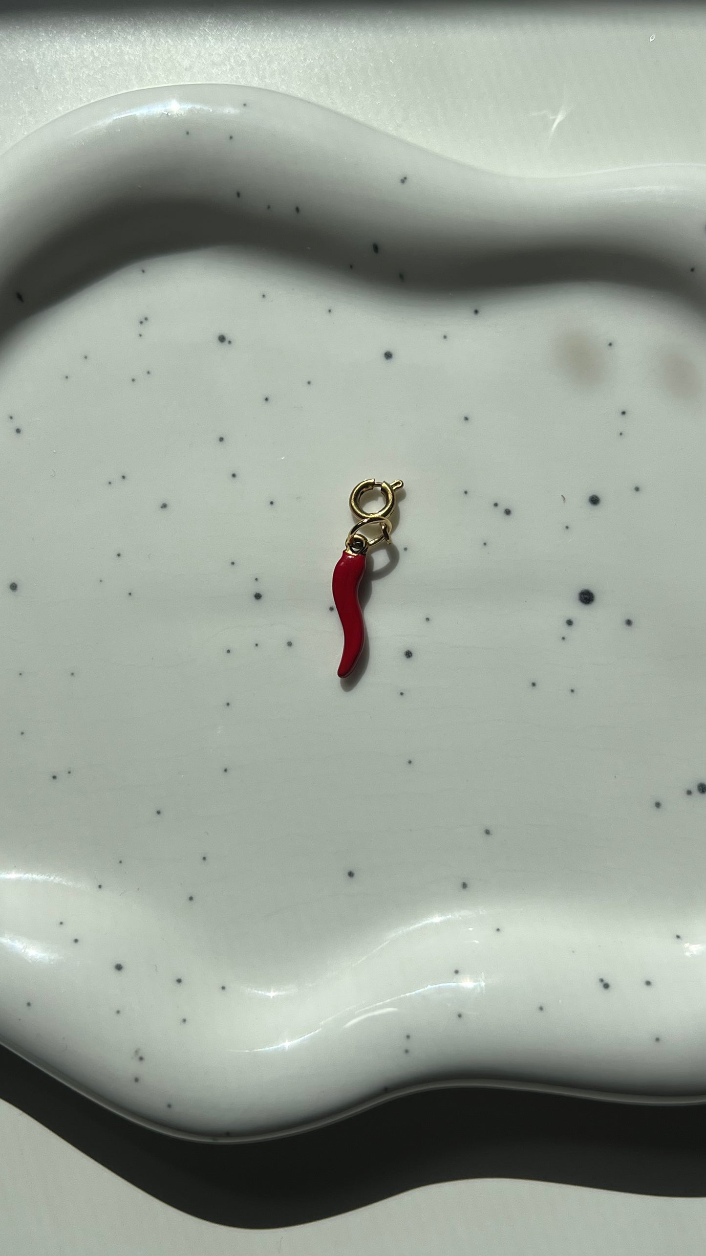 Flip Flop Charm Acero