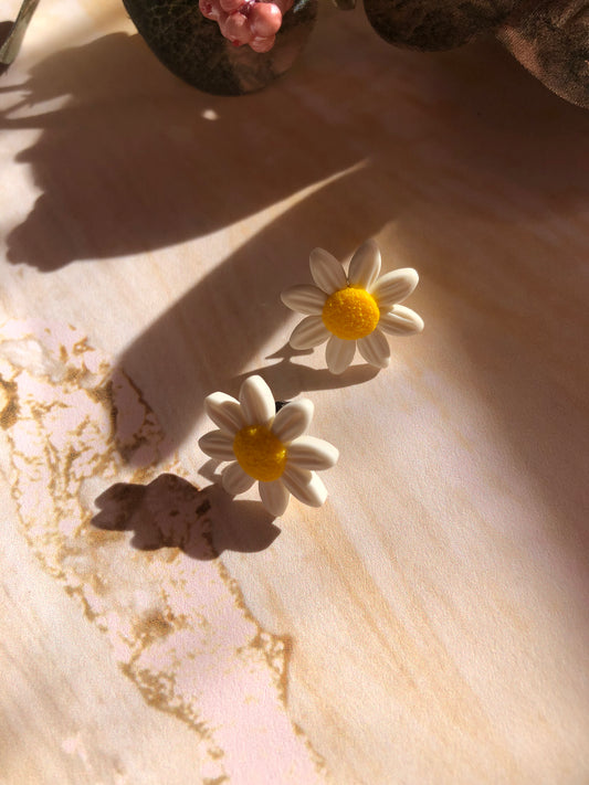 Margaritas pequeñas