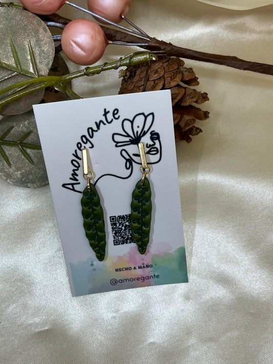 Hoja Calathea o Maranta