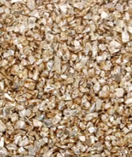 Estrella de mar Piedras