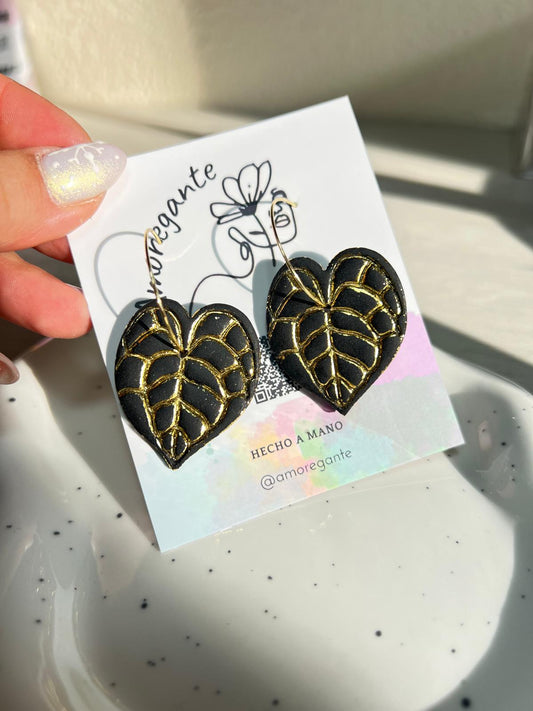 Hoja Clarinervium Elixir