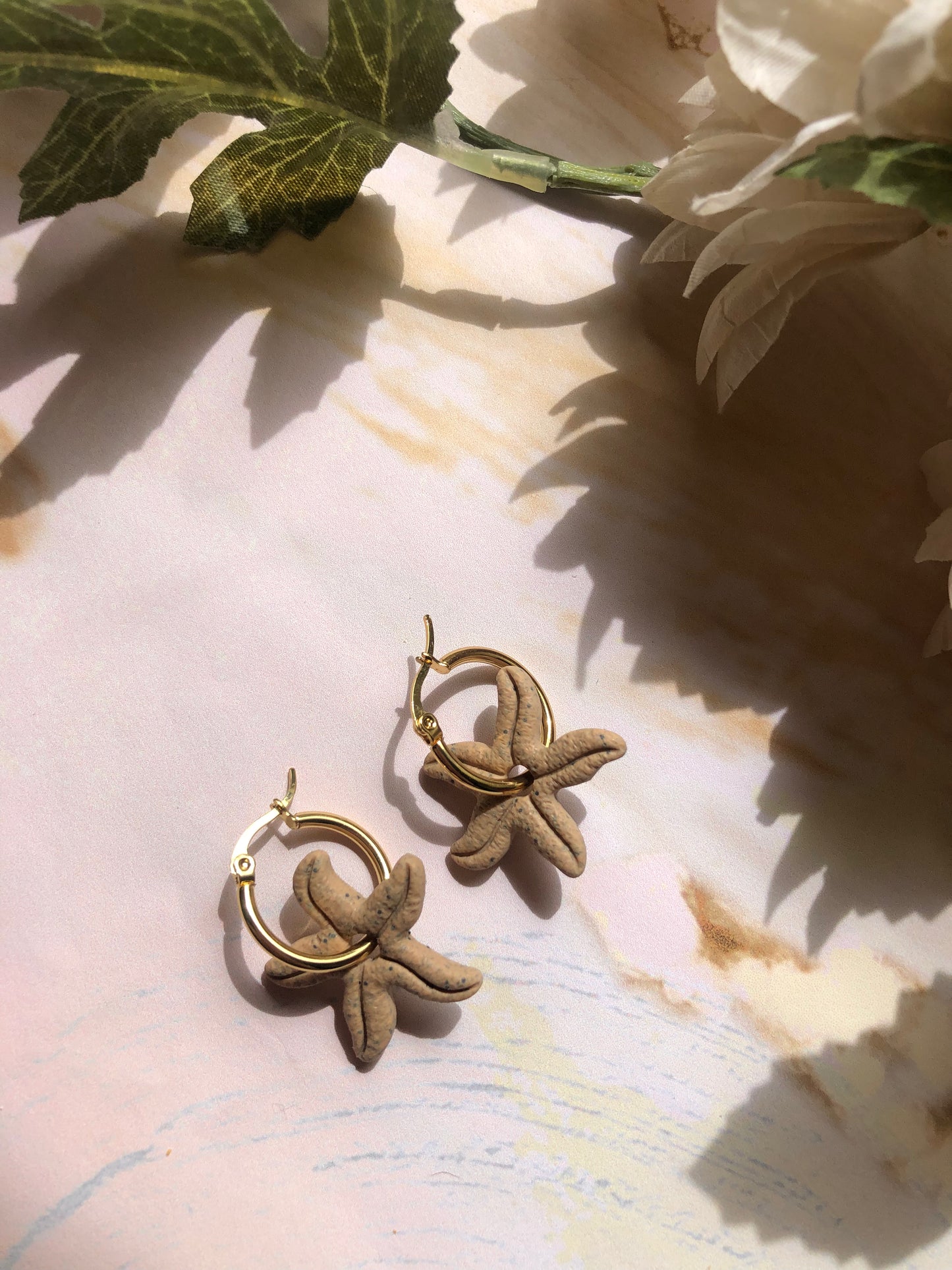 Estrella de mar Arena