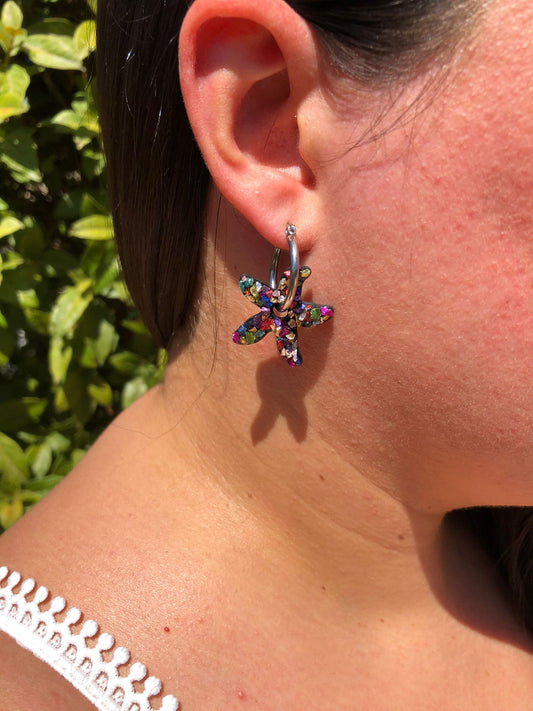 Estrella de mar Piedras