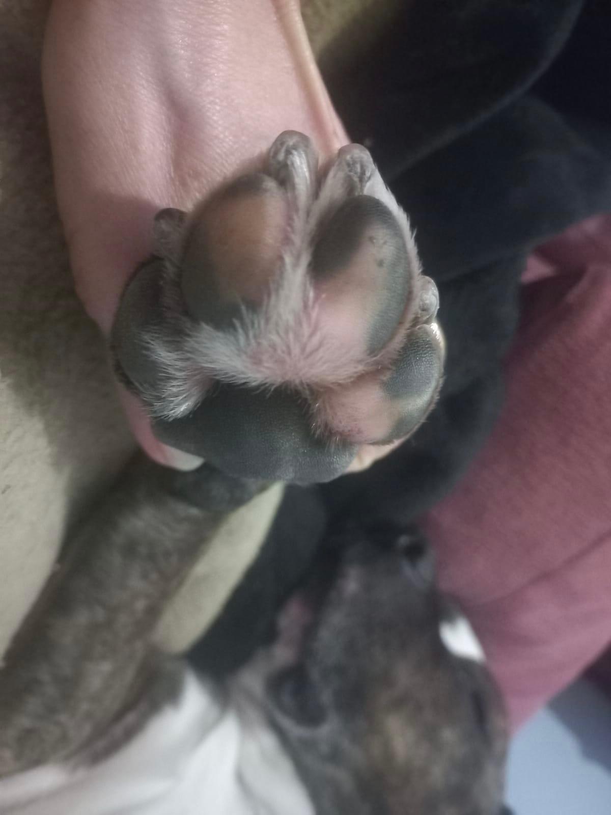 Huellas solidarias (llaveros)