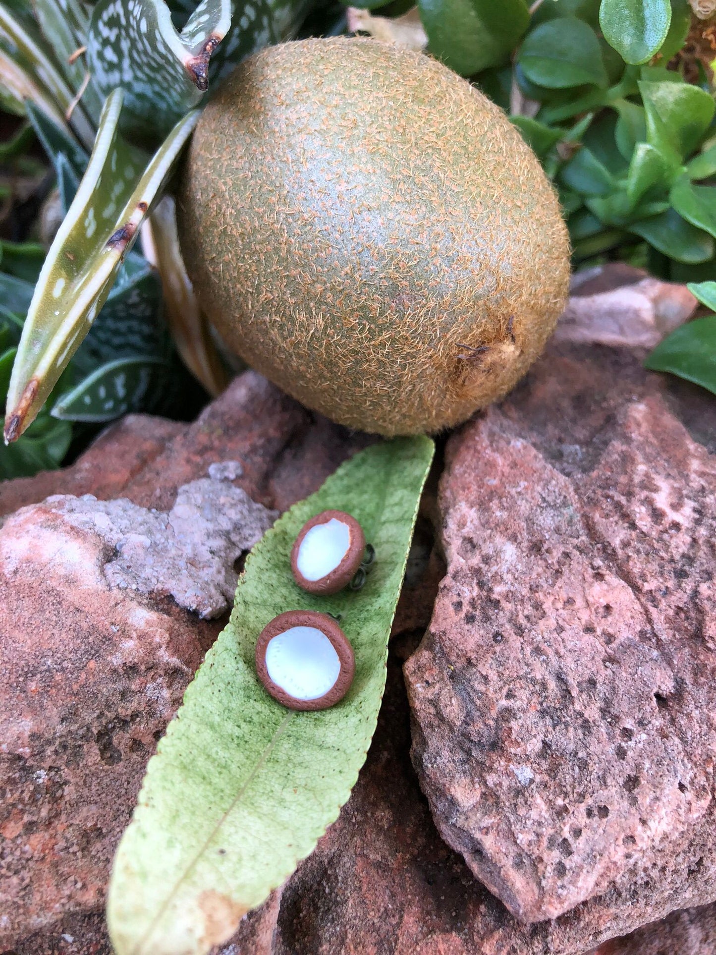 Mini Fruta Tutti Frutti