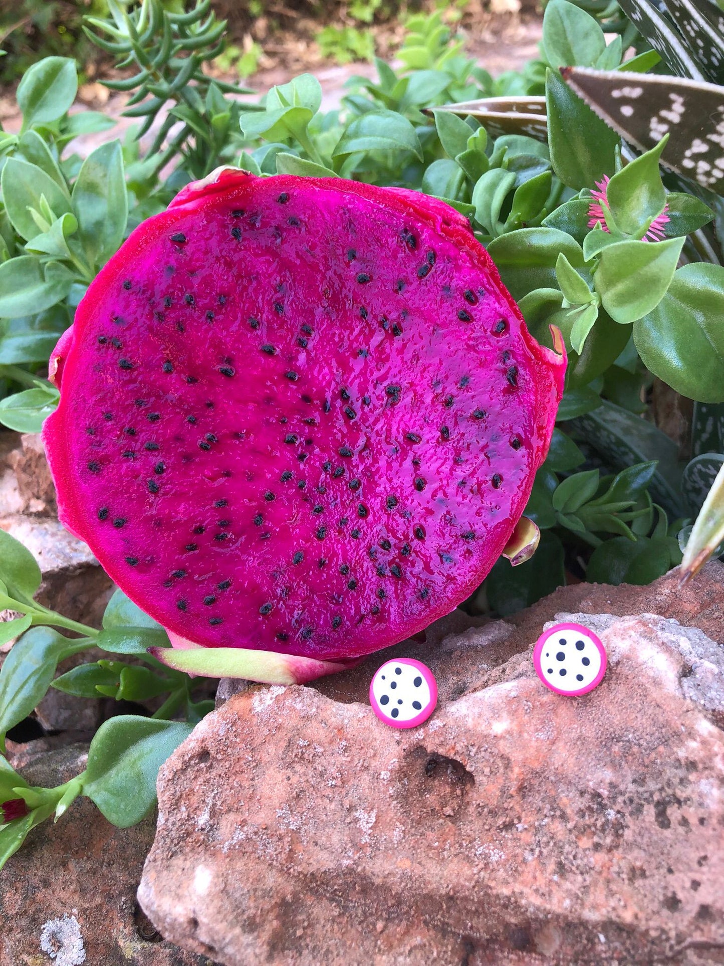 Mini Fruta Tutti Frutti