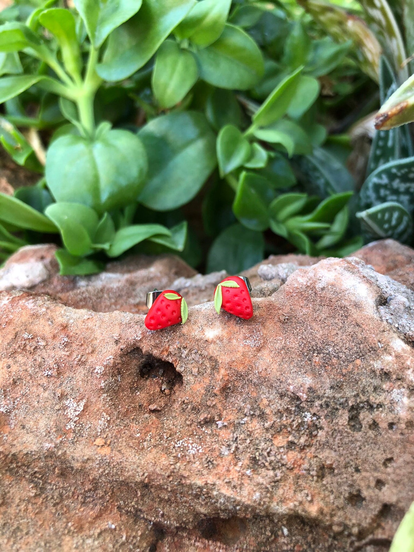 Mini Fruta Tutti Frutti