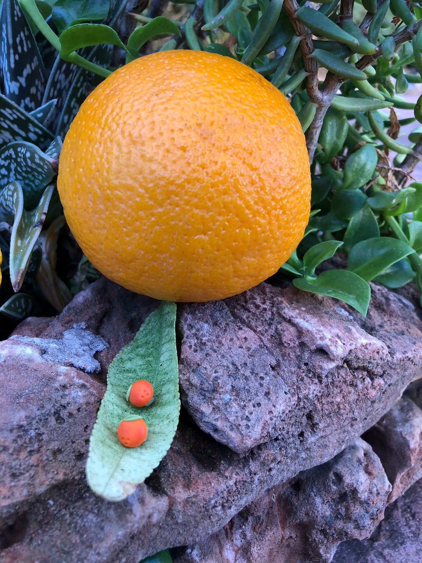 Mini Fruta Tutti Frutti