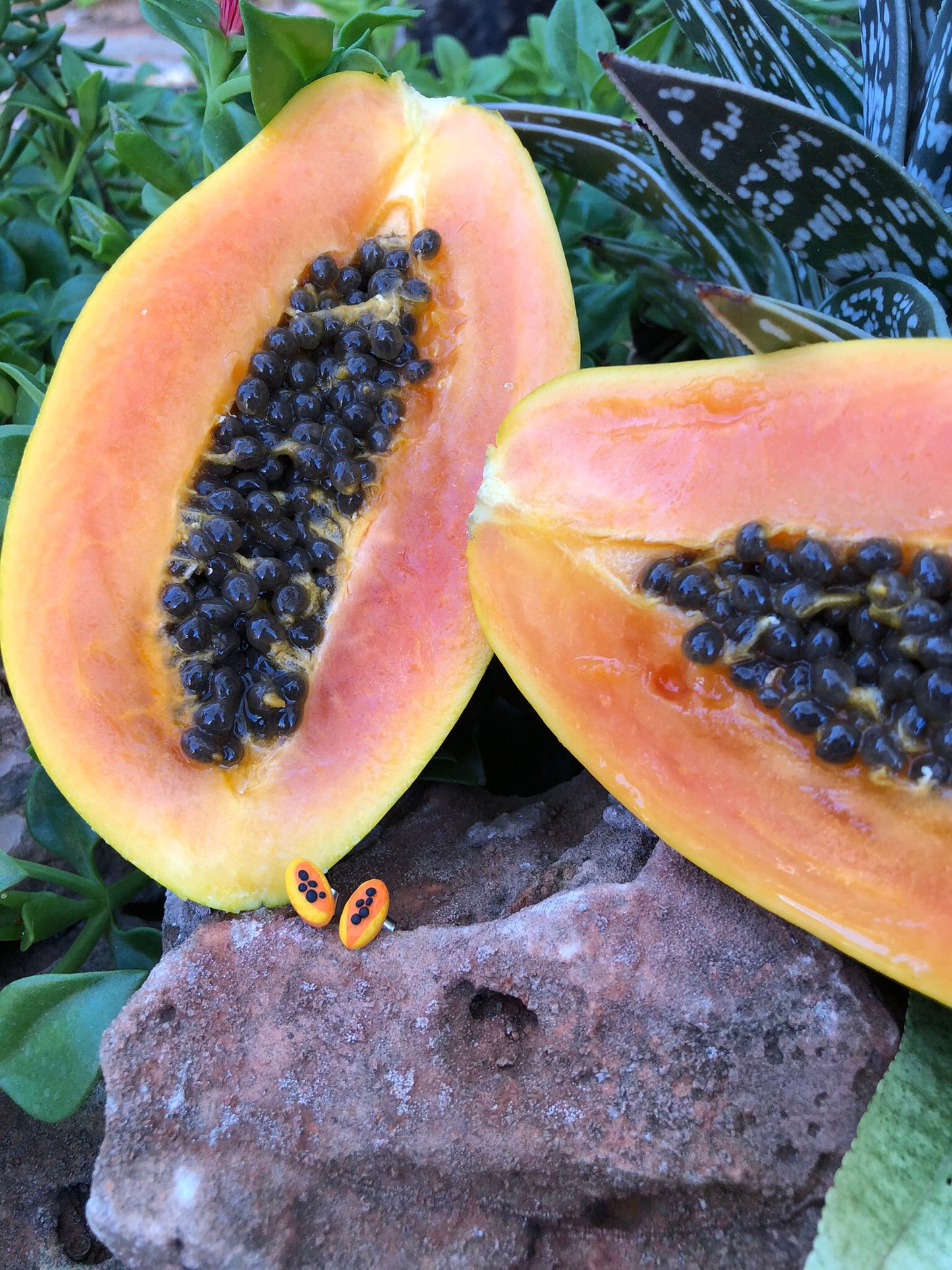 Mini Fruta Tutti Frutti