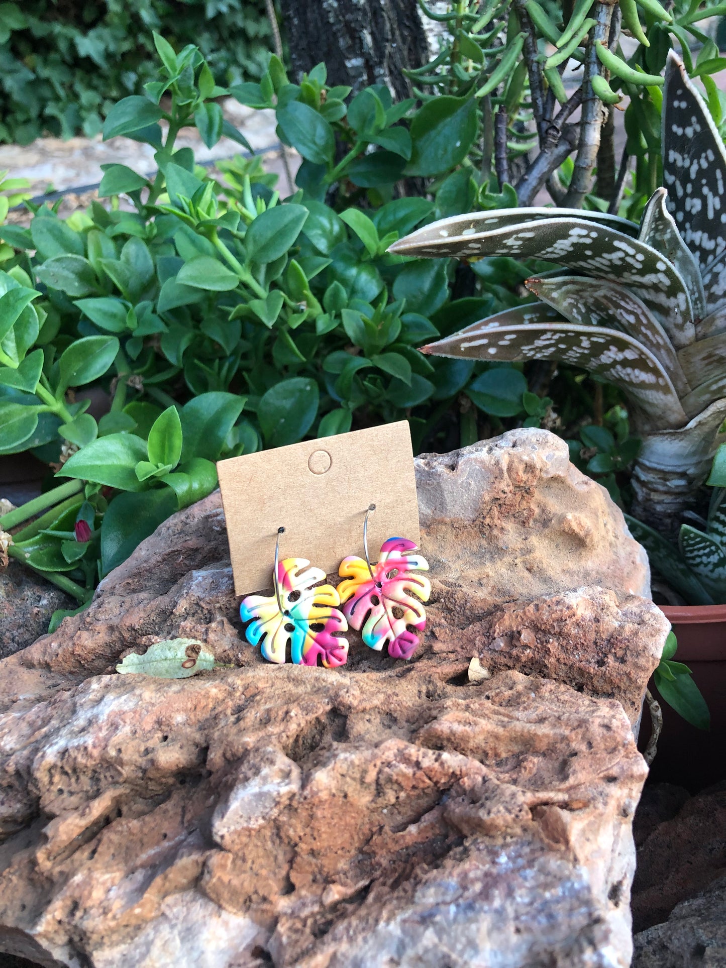 Hoja Monstera Multicolor