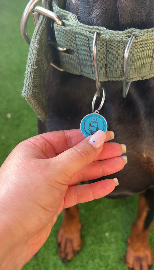 Identificación NFC Mascotas