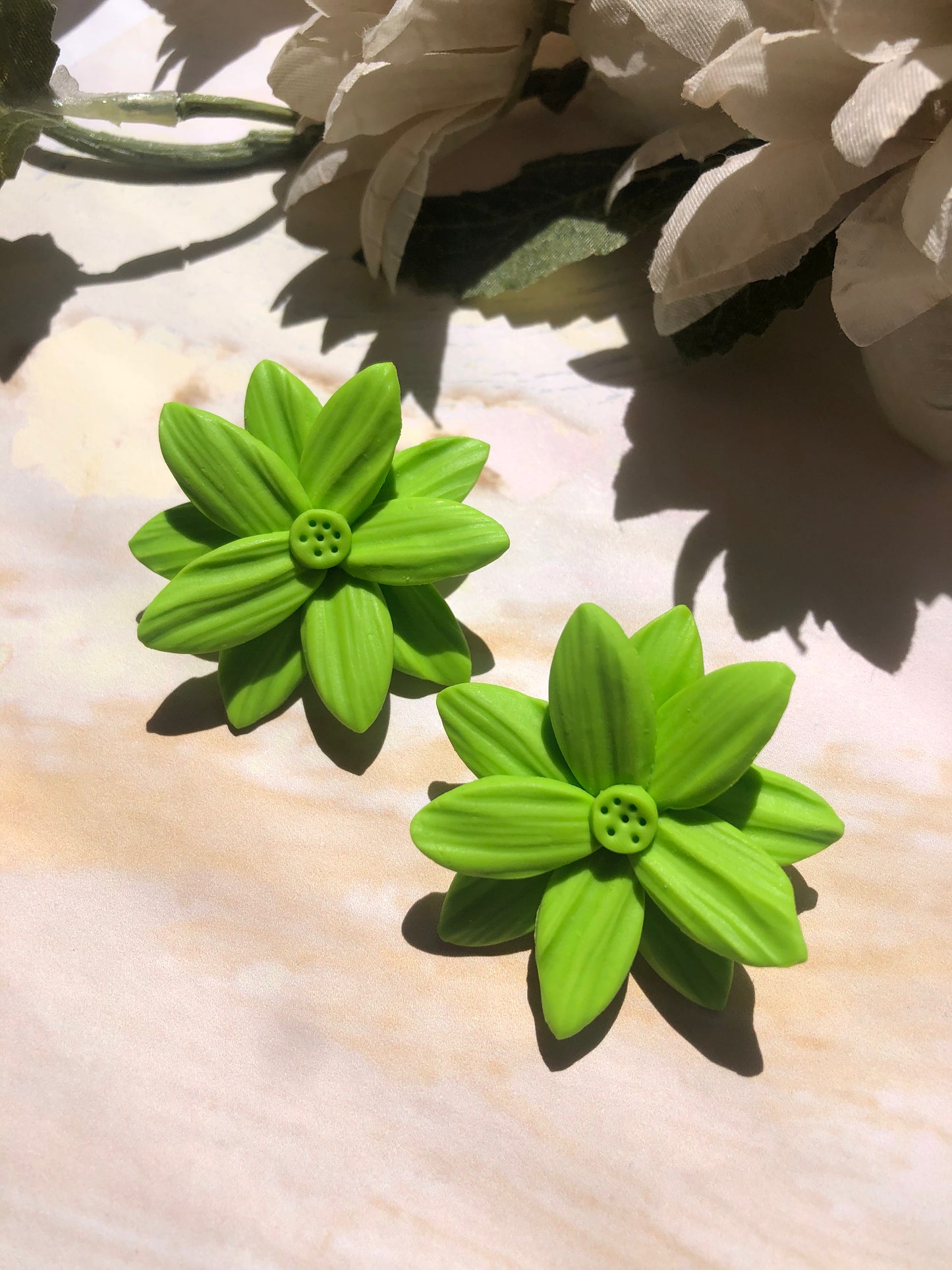 Panther Lisa Un Color