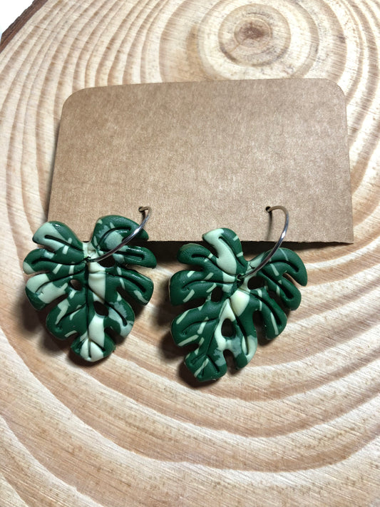 Hoja Monstera Variegada