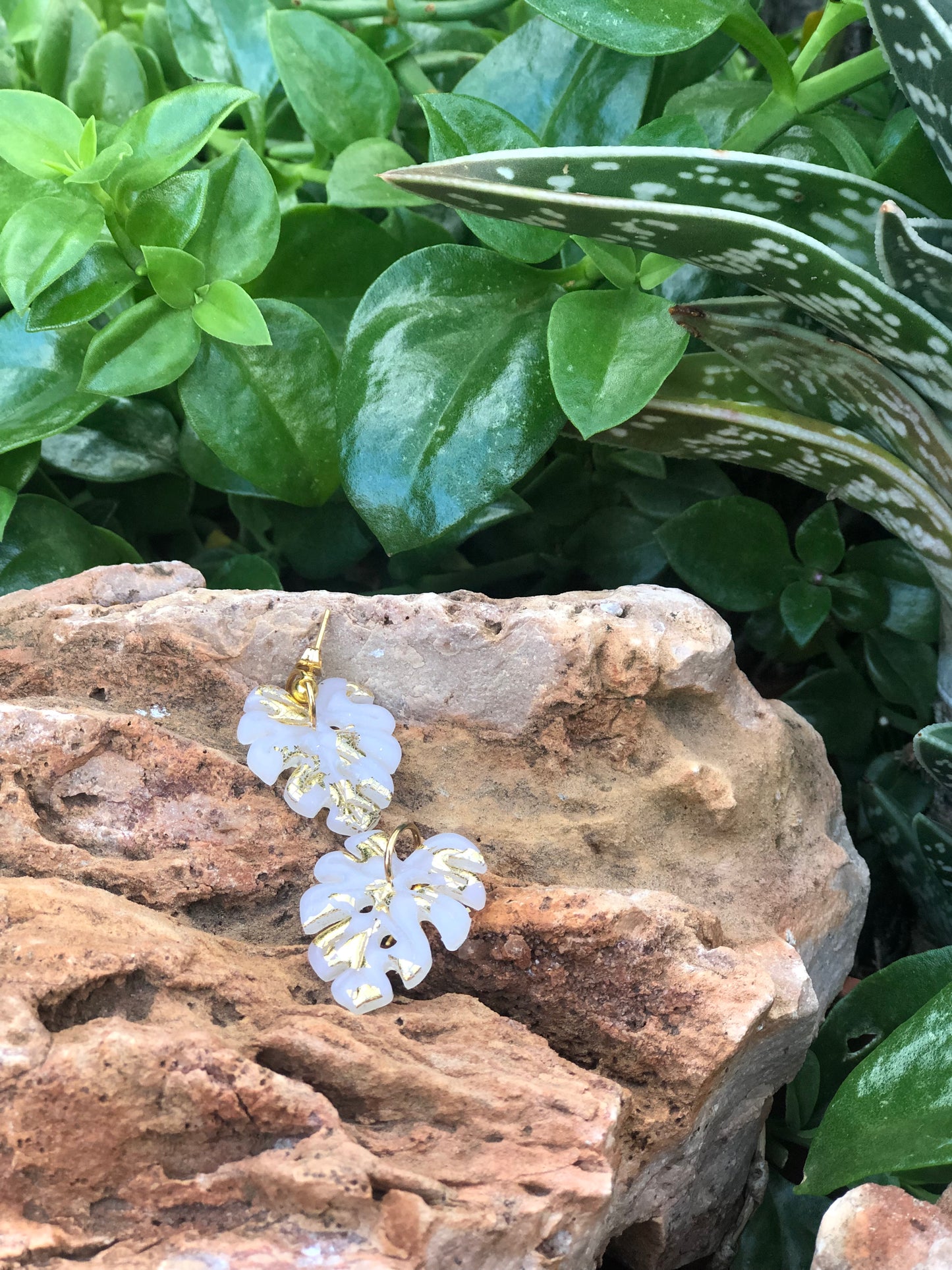 Hoja Monstera Translúcida